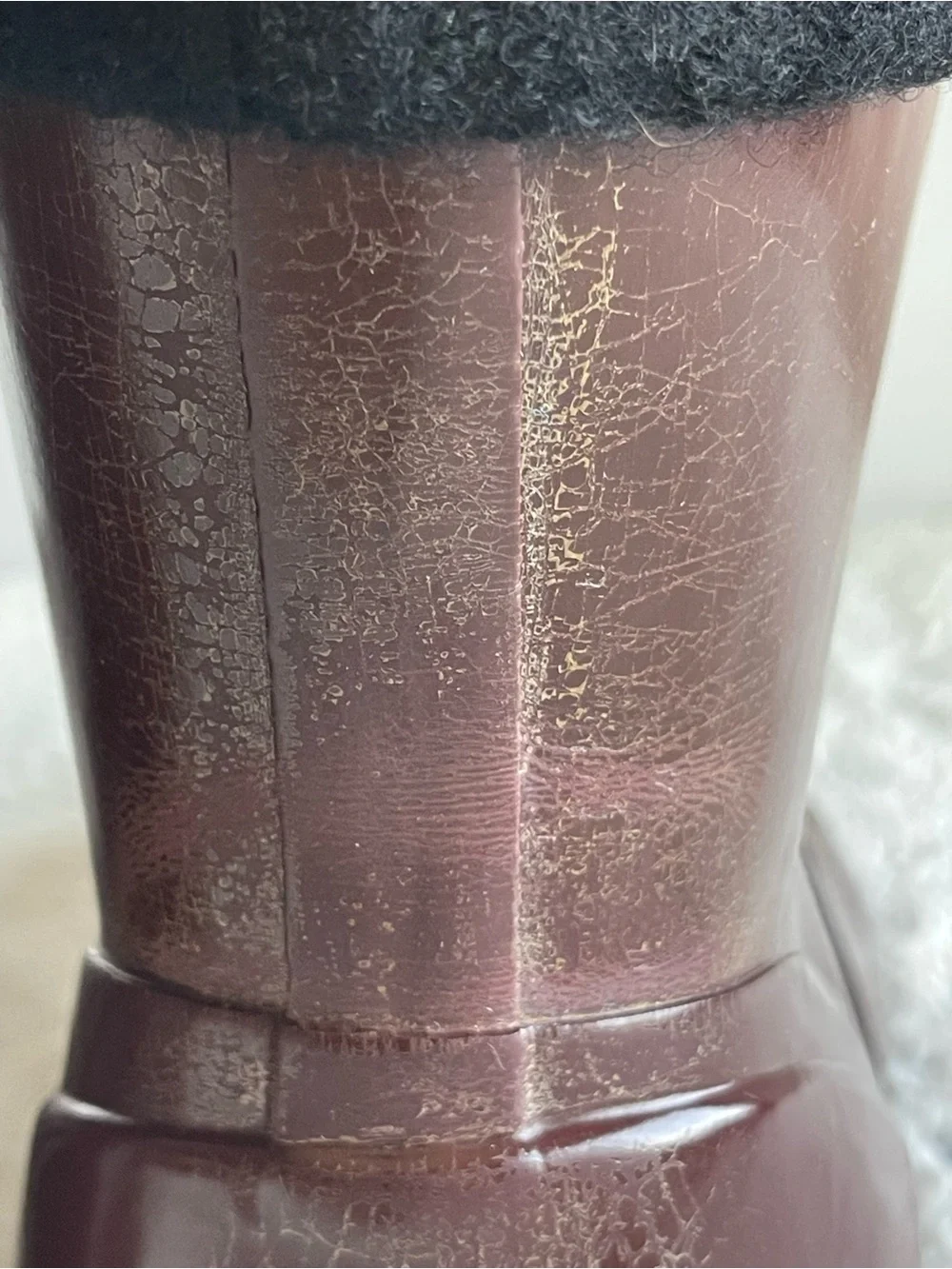 Bogs becca solids